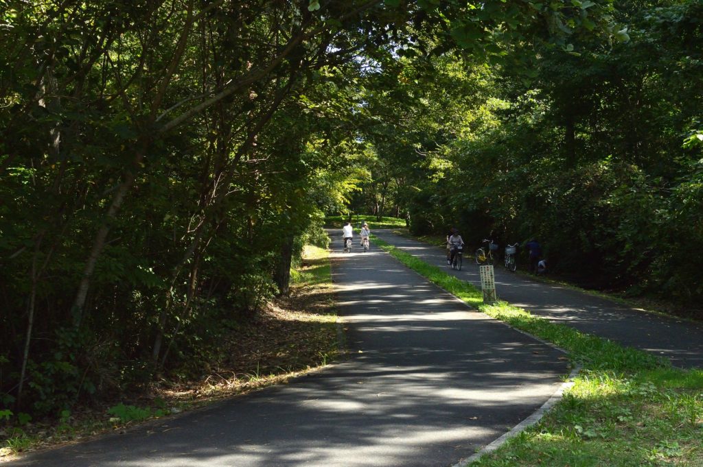 茨城県 ひたち海浜公園 サイクリングロードを走る人々