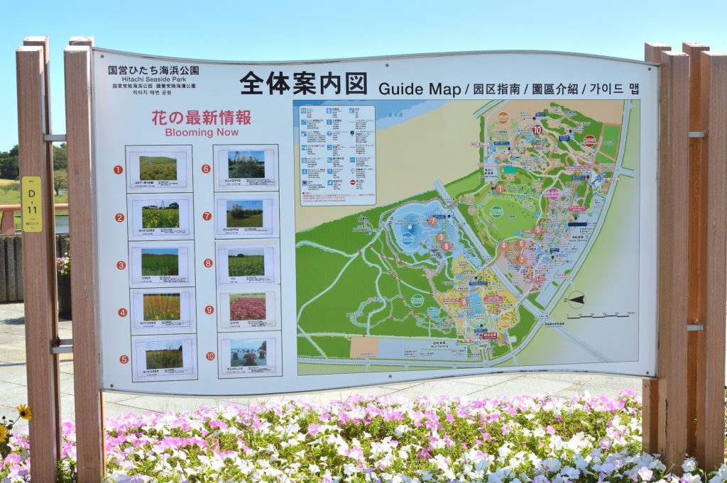 茨城県 ひたち海浜公園 西口ゲートに入ってすぐにある園内のマップ