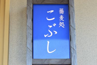 【そば処 こぶし】蕎麦が香る不思議なうどん@茨城県東海村